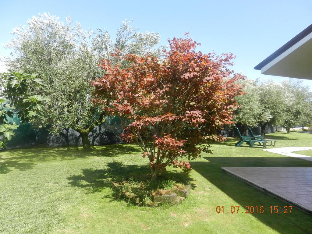Le Terre Di Bac Bed and Breakfast Borgo Montenero Buitenkant foto