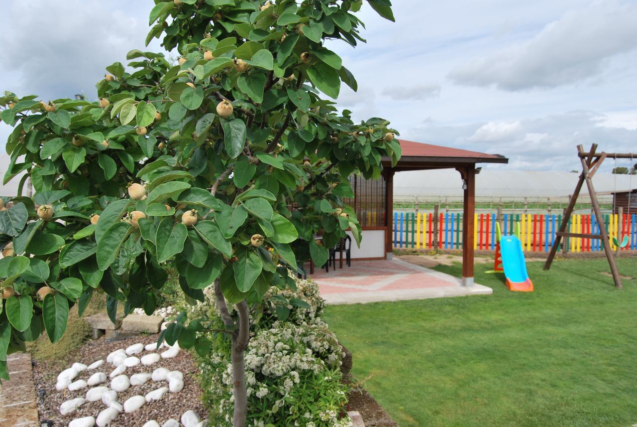 Le Terre Di Bac Bed and Breakfast Borgo Montenero Buitenkant foto